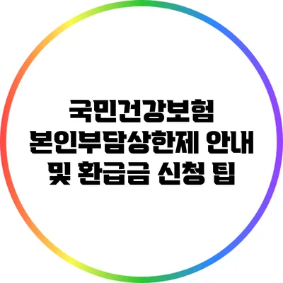 국민건강보험 본인부담상한제 안내 및 환급금 신청 팁