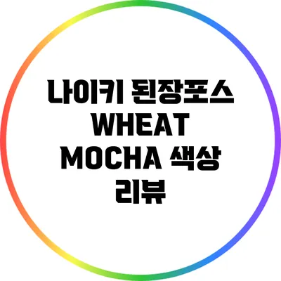 나이키 된장포스 WHEAT MOCHA 색상 리뷰