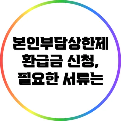 본인부담상한제 환급금 신청, 필요한 서류는?