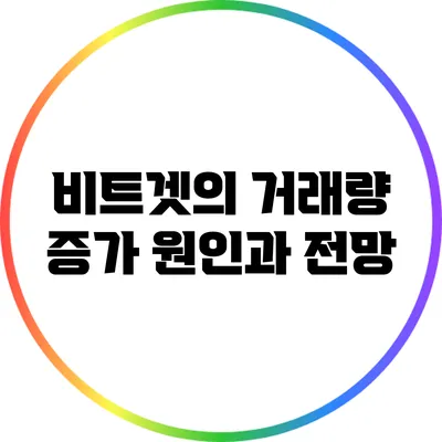 비트겟의 거래량 증가 원인과 전망