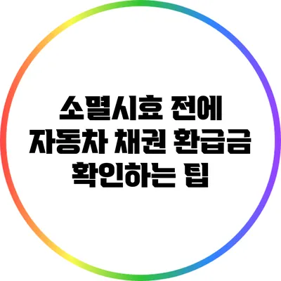 소멸시효 전에 자동차 채권 환급금 확인하는 팁