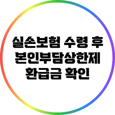 실손보험 수령 후 본인부담상한제 환급금 확인