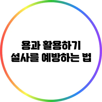 용과 활용하기: 설사를 예방하는 법