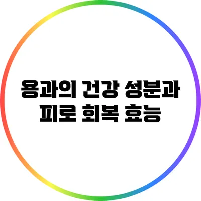 용과의 건강 성분과 피로 회복 효능