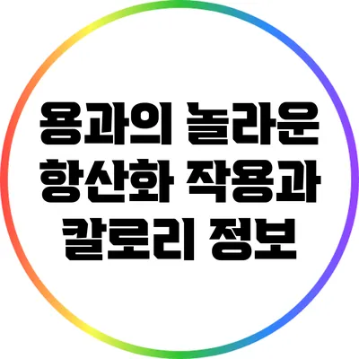 용과의 놀라운 항산화 작용과 칼로리 정보