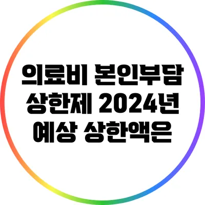 의료비 본인부담 상한제 2024년 예상 상한액은?