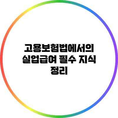 고용보험법에서의 실업급여: 필수 지식 정리