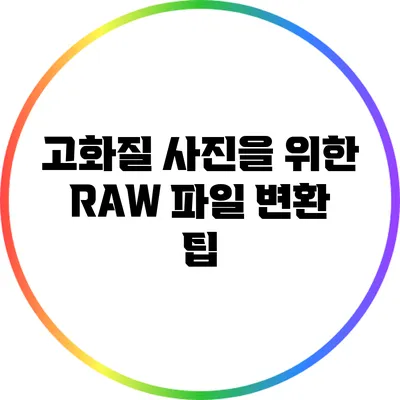 고화질 사진을 위한 RAW 파일 변환 팁