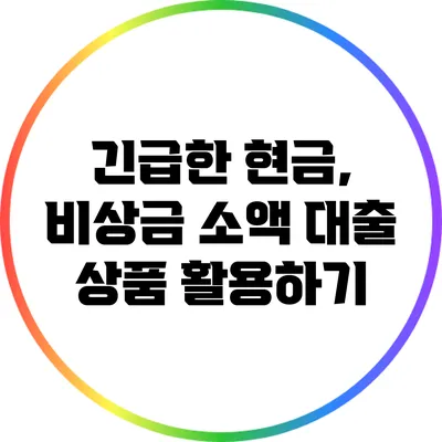 긴급한 현금, 비상금 소액 대출 상품 활용하기