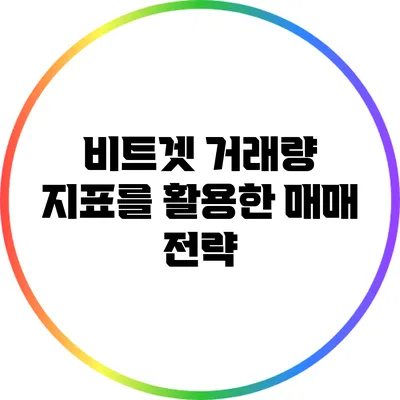 비트겟 거래량 지표를 활용한 매매 전략