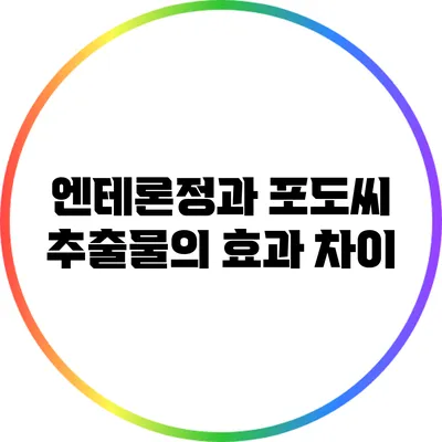 엔테론정과 포도씨 추출물의 효과 차이