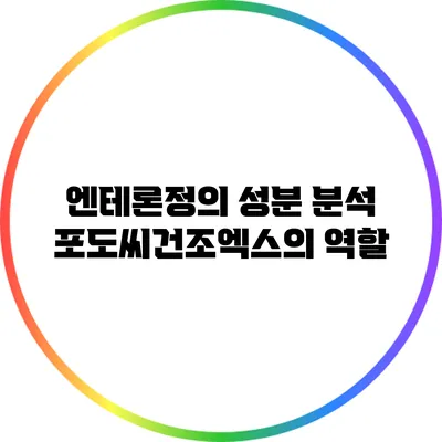 엔테론정의 성분 분석: 포도씨건조엑스의 역할