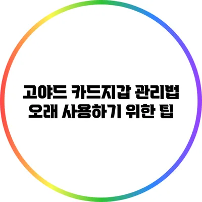 고야드 카드지갑 관리법: 오래 사용하기 위한 팁