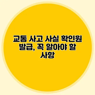 교통 사고 사실 확인원 발급, 꼭 알아야 할 사항