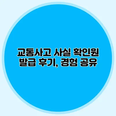 교통사고 사실 확인원 발급 후기, 경험 공유