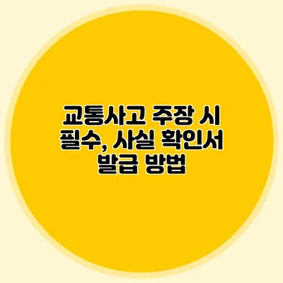 교통사고 주장 시 필수, 사실 확인서 발급 방법