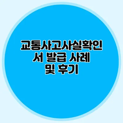 교통사고사실확인서 발급 사례 및 후기