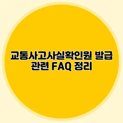 교통사고사실확인원 발급 관련 FAQ 정리