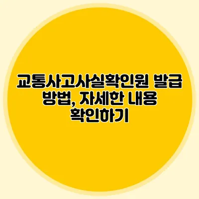 교통사고사실확인원 발급 방법, 자세한 내용 확인하기
