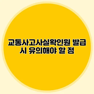 교통사고사실확인원 발급 시 유의해야 할 점