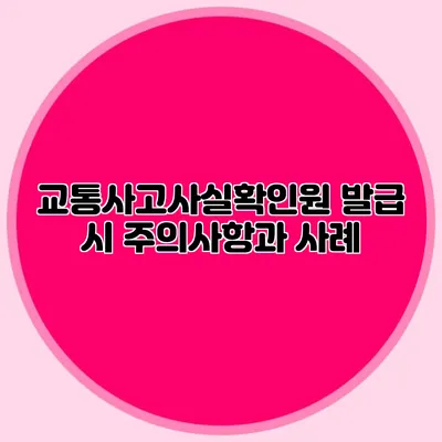 교통사고사실확인원 발급 시 주의사항과 사례