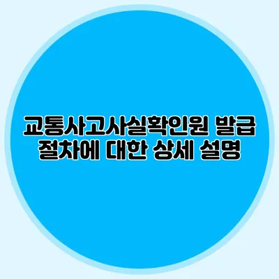 교통사고사실확인원 발급 절차에 대한 상세 설명