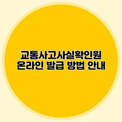 교통사고사실확인원 온라인 발급 방법 안내