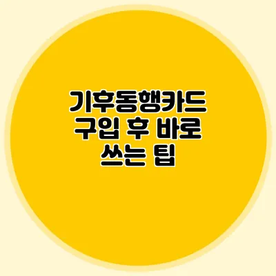 기후동행카드 구입 후 바로 쓰는 팁
