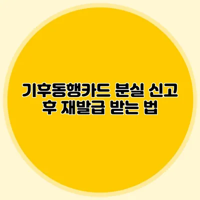 기후동행카드 분실 신고 후 재발급 받는 법