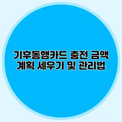 기후동행카드 충전 금액 계획 세우기 및 관리법