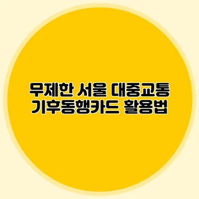 무제한 서울 대중교통 기후동행카드 활용법