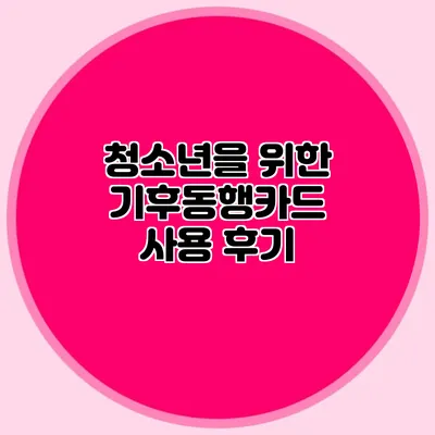 청소년을 위한 기후동행카드 사용 후기