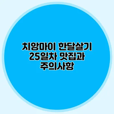 치앙마이 한달살기 25일차 맛집과 주의사항