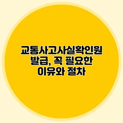 교통사고사실확인원 발급, 꼭 필요한 이유와 절차