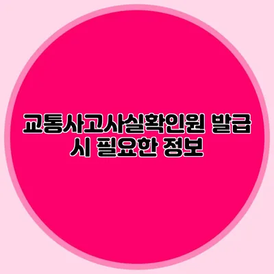 교통사고사실확인원 발급 시 필요한 정보