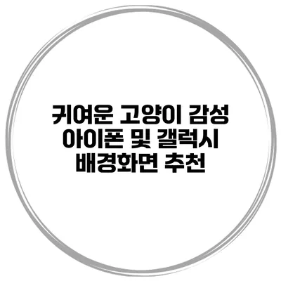 귀여운 고양이 감성 아이폰 및 갤럭시 배경화면 추천