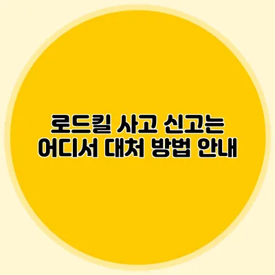 로드킬 사고 신고는 어디서? 대처 방법 안내