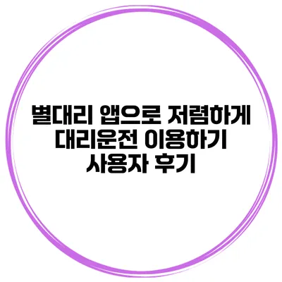 별대리 앱으로 저렴하게 대리운전 이용하기 사용자 후기