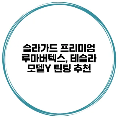 솔라가드 프리미엄 루마버텍스, 테슬라 모델Y 틴팅 추천