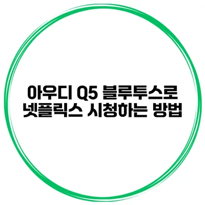 아우디 Q5 블루투스로 넷플릭스 시청하는 방법