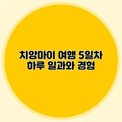 치앙마이 여행 5일차 하루 일과와 경험