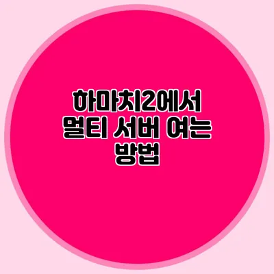 하마치2에서 멀티 서버 여는 방법